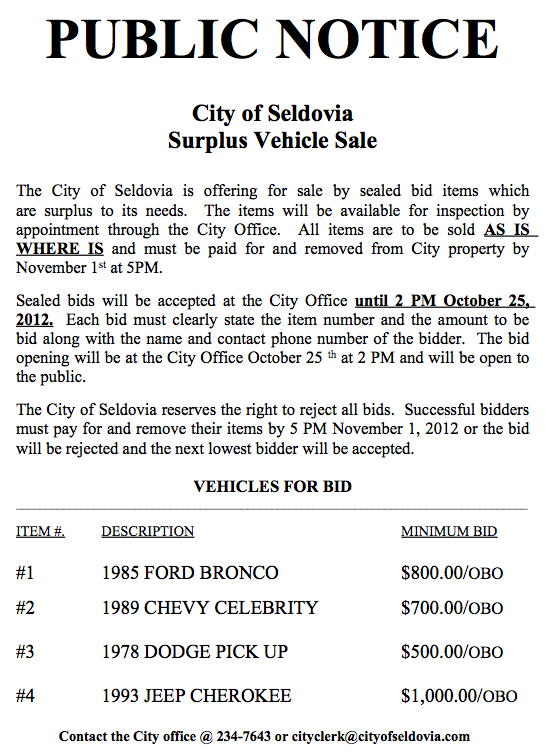 Seldovia City Vehicle Sale